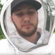 Matt dollar